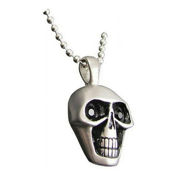 iJewelry2 CZ Skull Head Pendant Stainless Steel Beaded Chain Necklace 24"