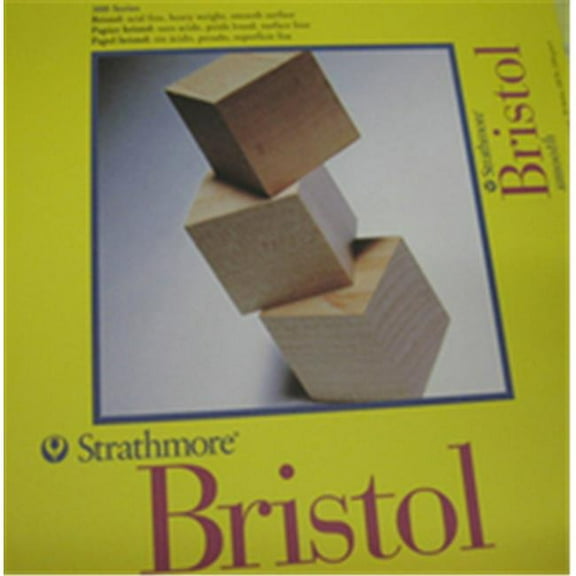 Art Supplies 342-9 300 Series Bristol Smooth Pad, 9 X 12 In.