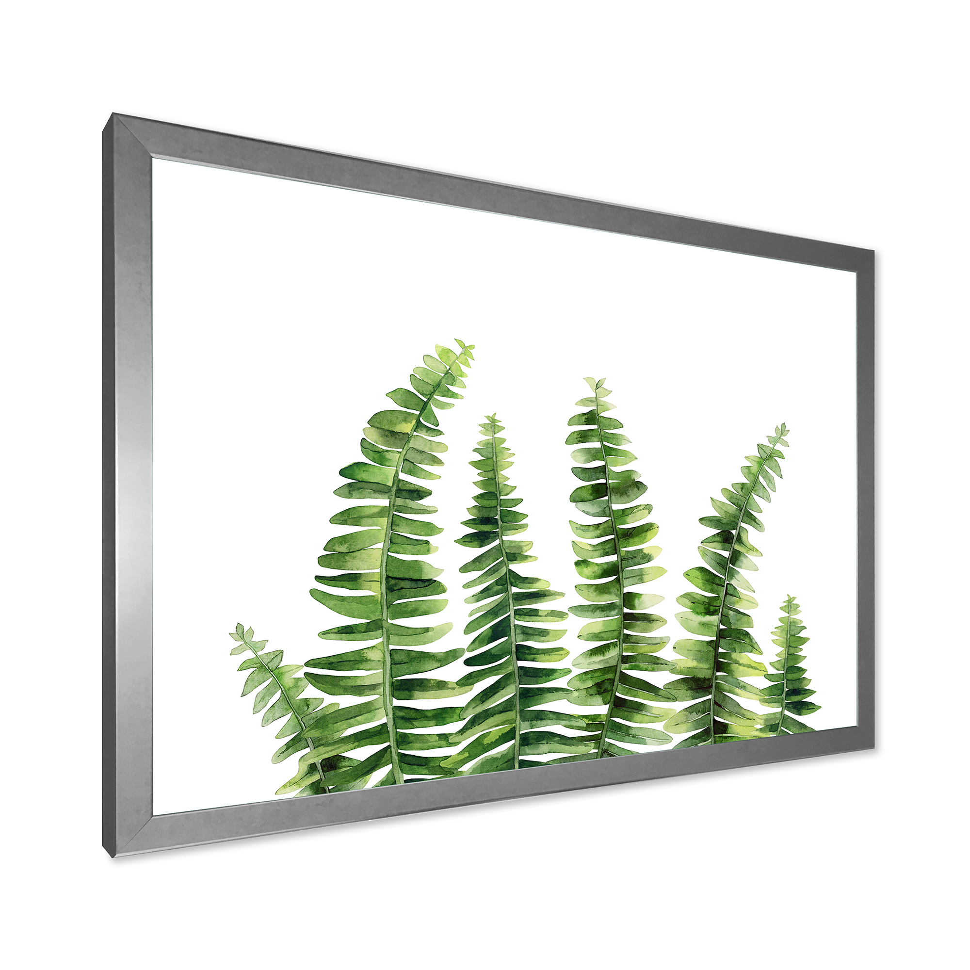 Designart 'Fern Plant Leaves Detail II' Farmhouse Framed Art Print