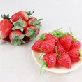 thumbnail image 3 of YIEMEEN 10pcs Realistic Fruit Artificial Strawberry Simulations Fruit Decorative Fake Food Model Display Photography Props Toy, 3 of 18