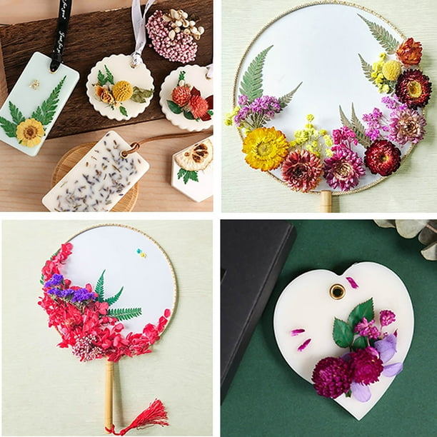Material de flores secas para bricolaje Flores y hojas secas prensadas reales para manualidades C Sywqhk Libre de BPA