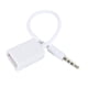 thumbnail image 3 of 2X Enchufe de Audio AUX Macho de 3.5 mm Jack Una USB 2.0 Hembra Convertidor Cable Cable Coche MP3, 3 of 5