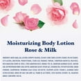 Dr Teal's Body Lotion, Rose & Milk, 18 fl oz