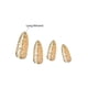 thumbnail image 5 of Kit de uñas postizas KISS Dreamdust, listas para usar, esculpidas en gel, 5 of 6