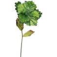 thumbnail image 1 of Vickerman OF160313 Lime Hibiscus Flower Stem, 23 & 8 in., 1 of 3