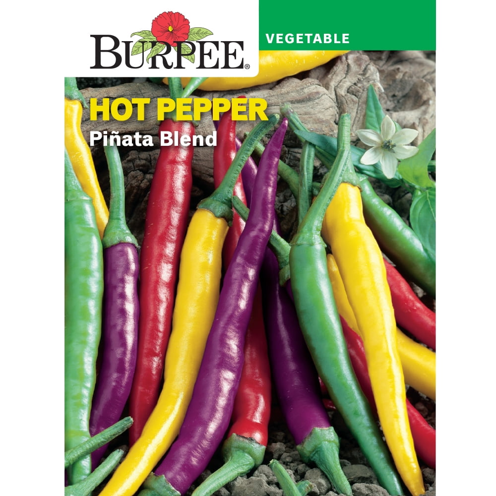 Burpee Piñata Blend Hot Pepper Vegetable Seed, 1Pack
