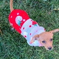 thumbnail image 6 of Pet Dog Sweaters Classic Knitwear Turtleneck Winter Warm Puppy Clothing Cute Strawberry Heart,Doggie Sweater,pet clothing,strawberry dog costume,strawberry sweater,sweaters for cats，Red 6, 6 of 8