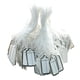thumbnail image 3 of 500 Piezas Etiquetas de Precio de Marca Sunnimix 26 x 14 mm Cuerda 80 mm, 3 of 8