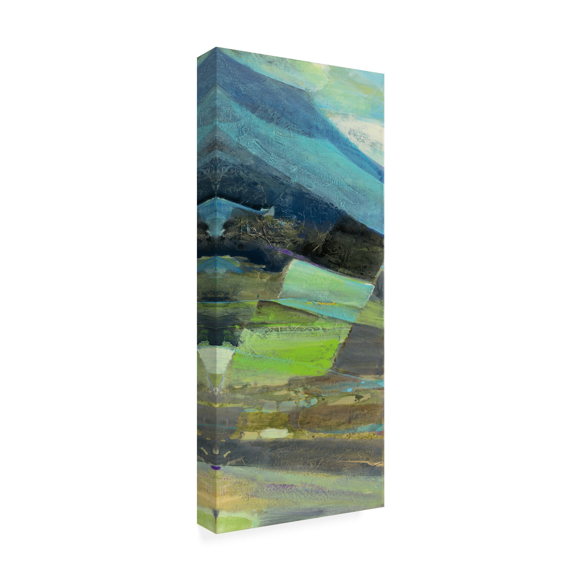 Trademark Fine Art 'View Of The Coast Panel Ii' Canvas Art by Albena Hristova