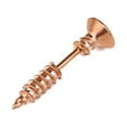 thumbnail image 1 of 1PCS Boucle d'Oreille Perçage Unisexe Élégant en Acier Inoxydable Forme Vis Complète Punk Sans Allergie, 1 of 7
