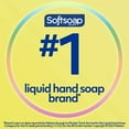 thumbnail image 3 of Softsoap Antibacterial Liquid Hand Soap, Kitchen Fresh Hand Soap, 11.25 Fl Oz (Pack Of 6) - Pack Of 2, 3 of 3