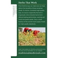 thumbnail image 4 of Traditional Medicinals Tea, Organic Dandelion Leaf and Root Tea, 16 Bags, 4 of 4