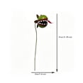 thumbnail image 3 of Summercome Metal Venus Flytrap Garden Stakes Decorative, 32 Inch Metal Carnivorous Plants for Outdoors, Yard Art Garden Decorations for Outdoor Lawn Porch Pathway, Garden Decor for Outside, 3 of 8