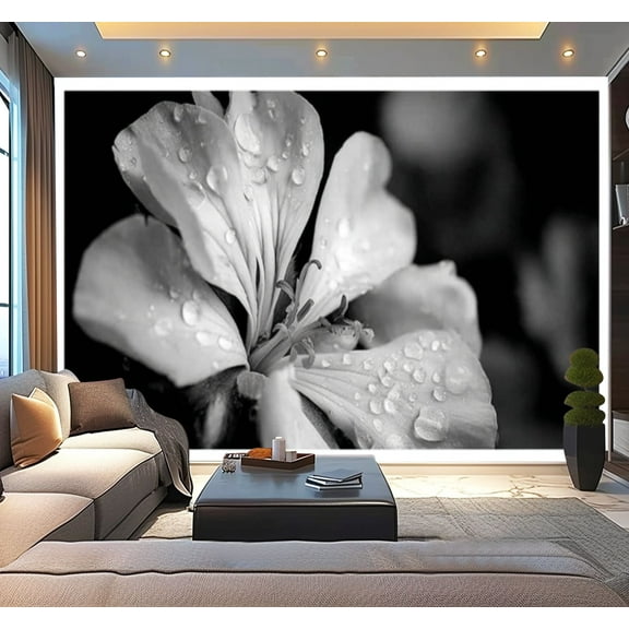 Peel and Stick Wallpaper Black White Close up Flower Petal Dew Drops Modern Art Wall Mural Decor Self Adhesive and Removable 100in x 144in