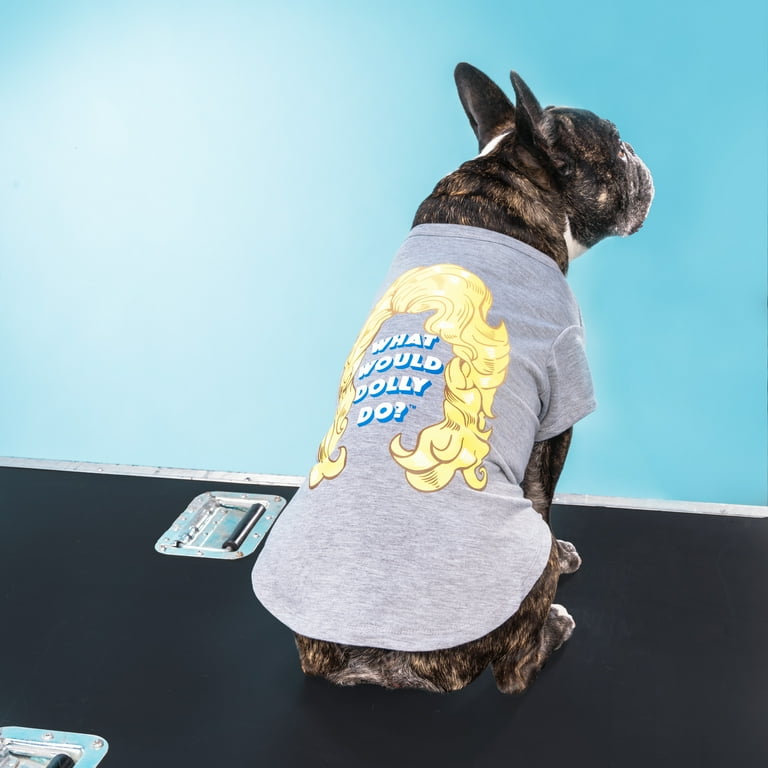 Walmart dog best sale sweaters in store