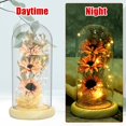 thumbnail image 3 of OUSITAID LED Sunflower Lamp In Glass Battery Operated Sunflower Glass Light Creative Eternal Sunflower in Glass Dome Decorative Artificial Preserved Flower Gift Blue, 3 of 8