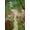 Multi2476, variant on Fantasy Scenery with a Fairy Tree Lamps Flowers Mushrooms and Butterflies Garden Yard Flag 28 x 40 Inch, Double Sided Large Garden Yard Welcome Flags for Home Lawn Patio Outdoor Decor