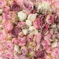 thumbnail image 2 of GreenDecor 5x7ft Valentine's Day Backdrop Blooming Fresh Pink Rose Flowers Background Romantic Wedding Photography Backdrops Girls Lover Photo Studio Props, 2 of 4