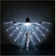 thumbnail image 1 of Alas de Isis para danza del vientre con luces LED - Alas de ángel luminosas para danza del vientre con telescopio, 1 of 5
