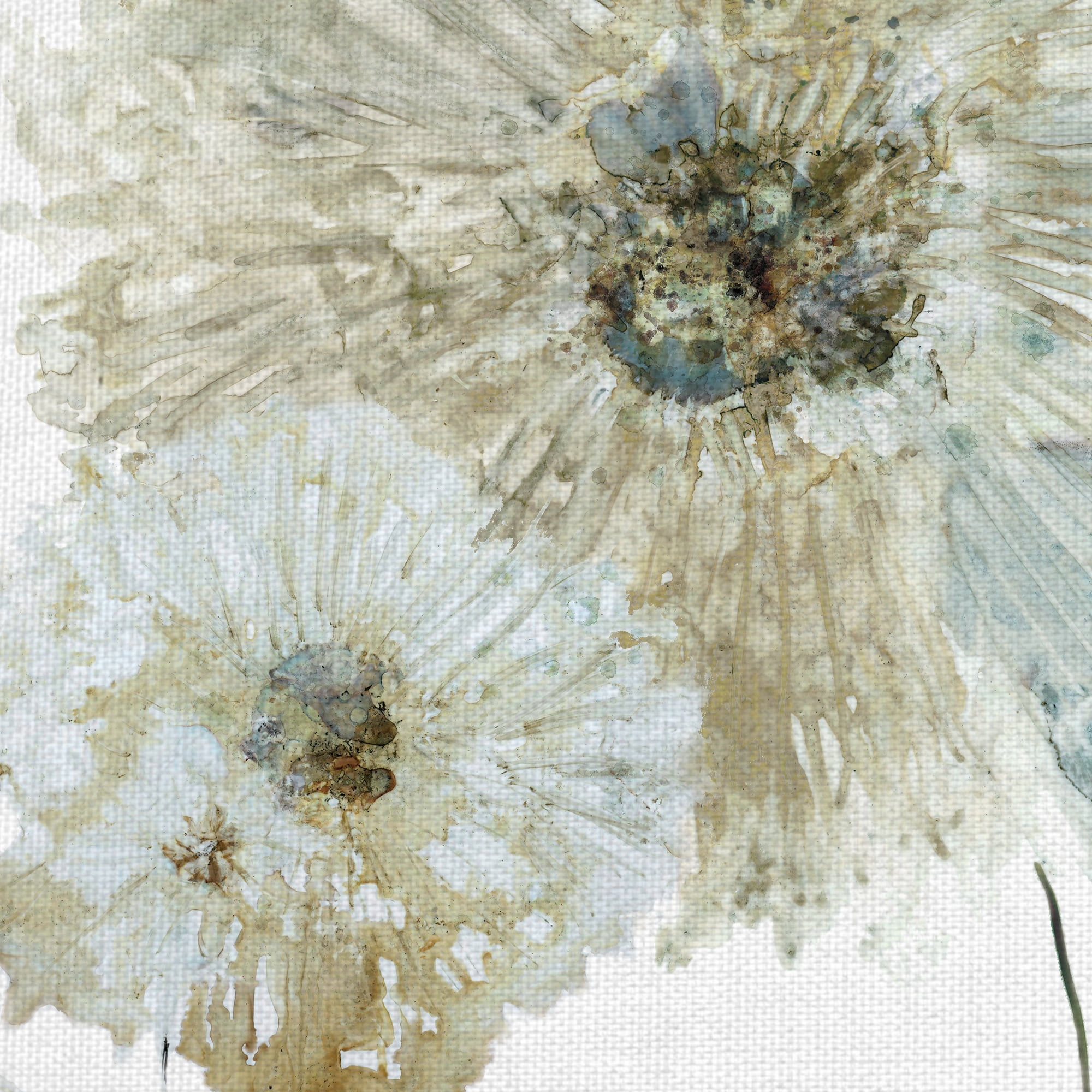 Masterpiece Art Gallery Ivory Spring I Flower By Carol Robinson Canvas Art Print 24" x 24"