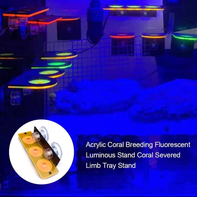 Tanque de peces Fluorescencia Coral Frag Rack Acuario Arrecife con soporte para enchufe (Amarillo) Likrtyny Oficina Multiescena Multifunción
