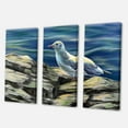thumbnail image 3 of Designart ' Portrait of Seagull Birds By The Sea ' Nautical & Coastal Canvas Wall Art Print, 3 of 3