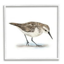 Charming Sandpiper on Soft Sand Brown Nautical Bird Animals & Insects Framed Art Print Wall Art, 17x17