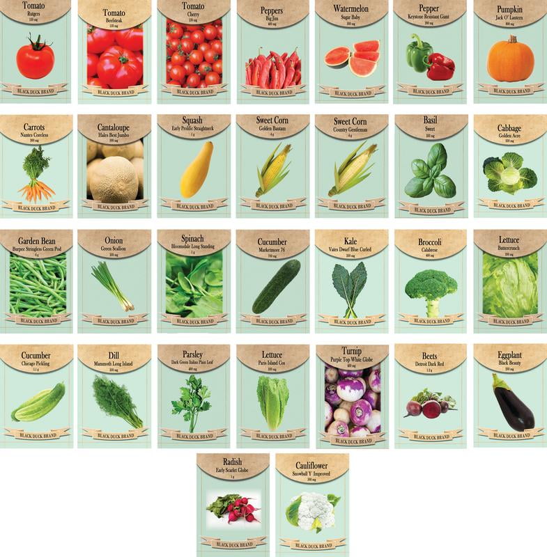 30 Packs of Vegetable Seeds Including 30 Varieties. All Seeds Are