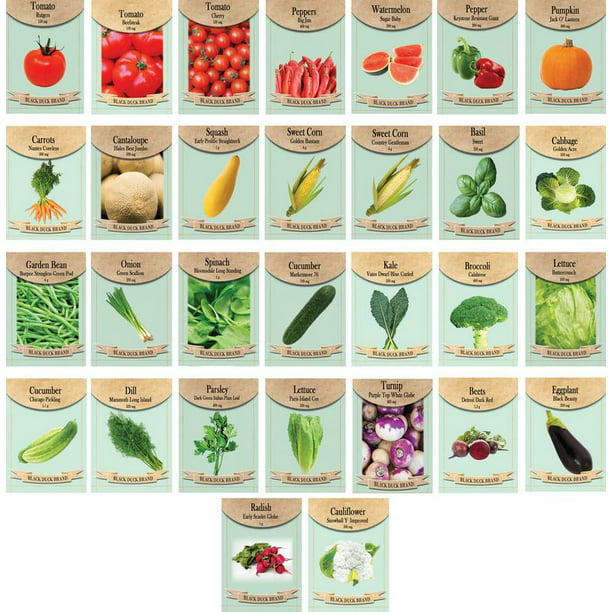30 Packs of Vegetable Seeds Including 30 Varieties. All Seeds Are ...