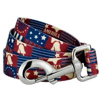Country Brook Petz® 5/8 inch Spirit of '76 Dog Leash, 4 Foot