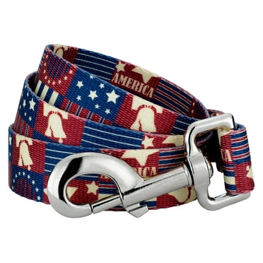 Country Brook Petz® 5/8 inch Spirit of '76 Dog Leash, 4 Foot