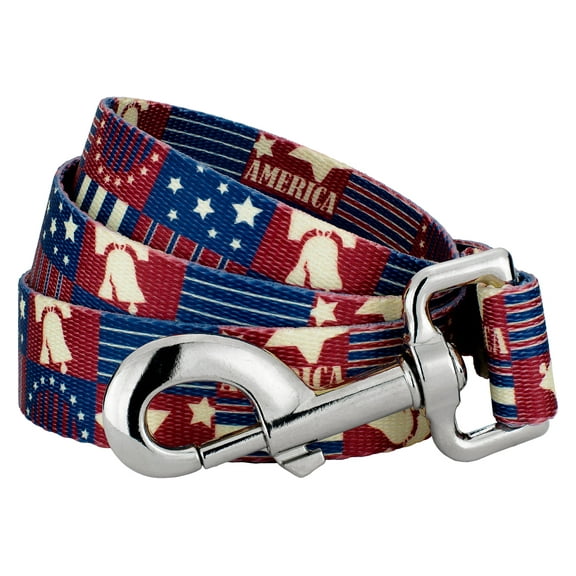 Country Brook Petz® 1/2 inch Spirit of '76 Dog Leash, 4 Foot