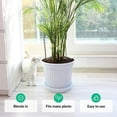 thumbnail image 3 of Kit de 10 estacas para plantas - Soportes para plantas trepadoras y flores - Estaca verde - Ayuda a que tus plantas crezcan - Estacas para tomates de jardín - Estacas para hortensias, peonías, plantas, 3 of 5