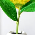 thumbnail image 3 of Luz De Noche Regalo de lámpara de escritorio Bonsai con pilas de luz nocturna de flores de girasol (1 flor), 3 of 8