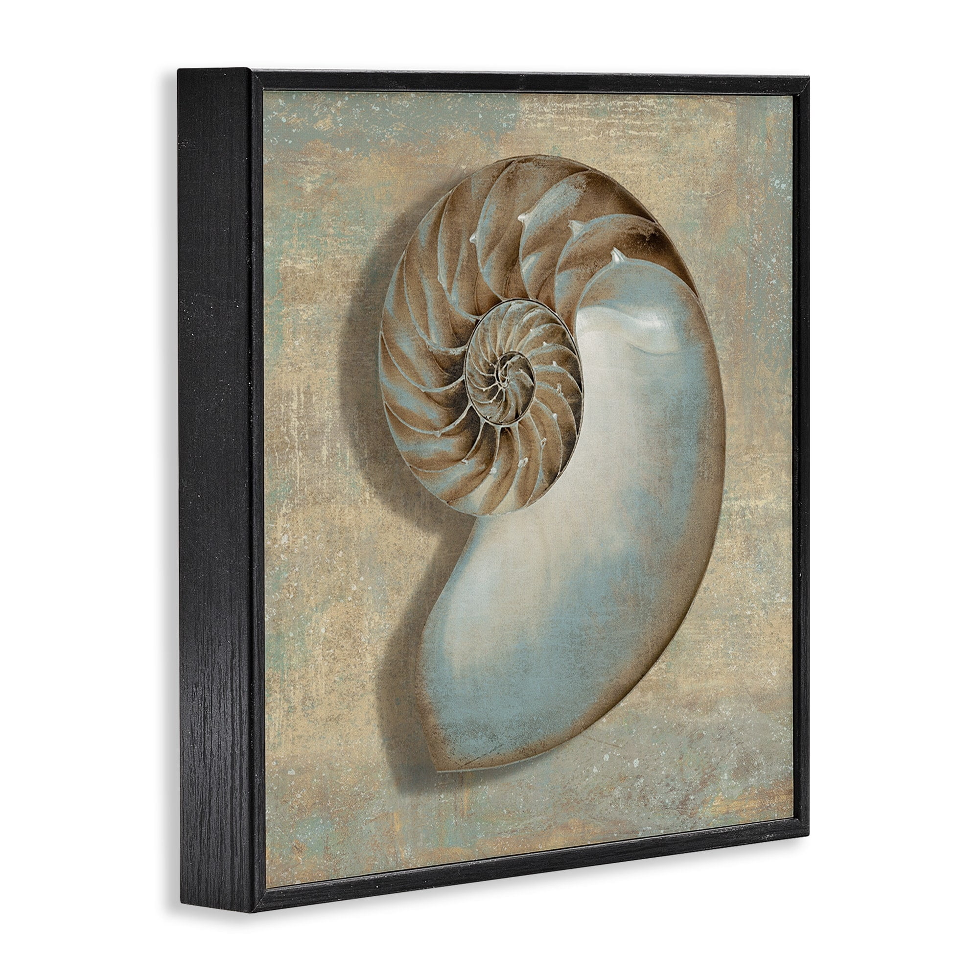 Stupell Industries Shell Beach Objects Design Framed Wall Art by Caroline Kelly