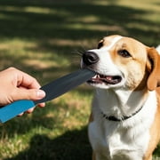 Pet Supplies Large Dog Bar Training Ideal for Bull Breeds in Open Fields for Training and Activities