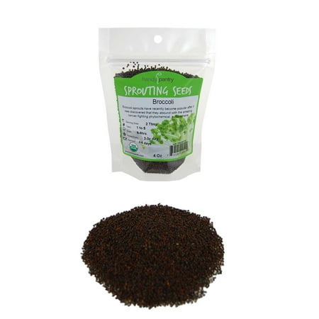 Organic Broccoli Sprouting Seeds - 4 Oz - Handy Pantry Brand - Edible Seed, Gardening, Hydroponics, Growing Salad Sprout & Food Storage- Brocolli Sprouts Contain (Best Way To Grow Broccoli Sprouts)