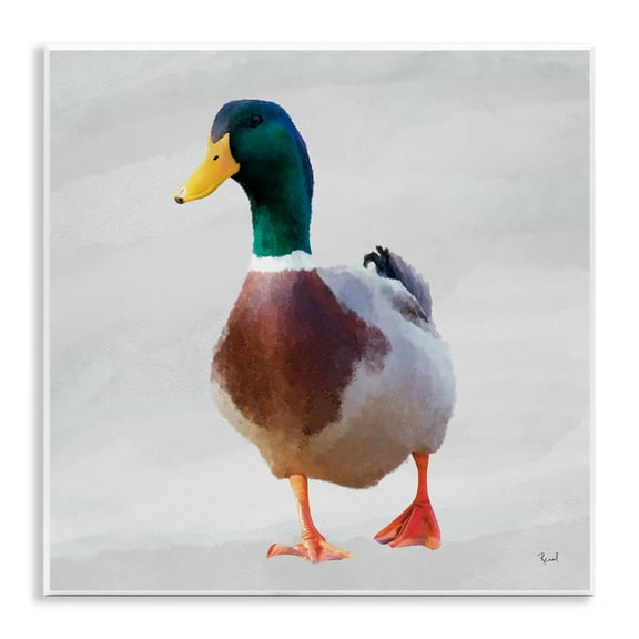 Stupell Industries Mallard Duck Squawking Wall Plaque Art design by Renel Peters, 12 x 12