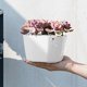 thumbnail image 4 of Hanging Plant Indoor Planters Art Decor Modern Wall And Ceiling Planter Flower Pot Hold Planters Hanger For Home Decor, 4 of 7