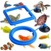 CARBONLIKE Fish Feeding Ring, 2 Pcs for Aquarium Fish Turtle Tank Accessories Feeding Circle for Guppy bettas Goldfish Turtle (Blue)