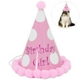 thumbnail image 1 of Party Hat Fashion Creative Decorative Birthday Hat Party Cone Hat for Pet, 1 of 6