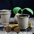 thumbnail image 2 of OUNONA 10pcs Plant Nutrient Blocks Synthetic Materials For Flowers Dark Brown, 2 of 4
