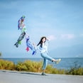 thumbnail image 2 of ✪ 55cm Koi Nobori Carp Wind Socks Koinobori Colorful Fish Flag Hanging Wall Decor, 2 of 16