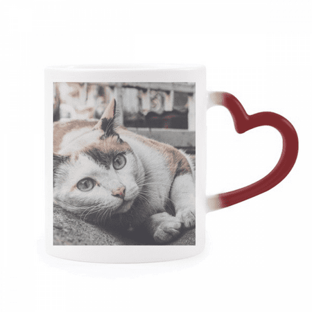 

Animal Colorful Cat Photograph Picture Heat Sensitive Mug Red Color Changing Stoneware Cup