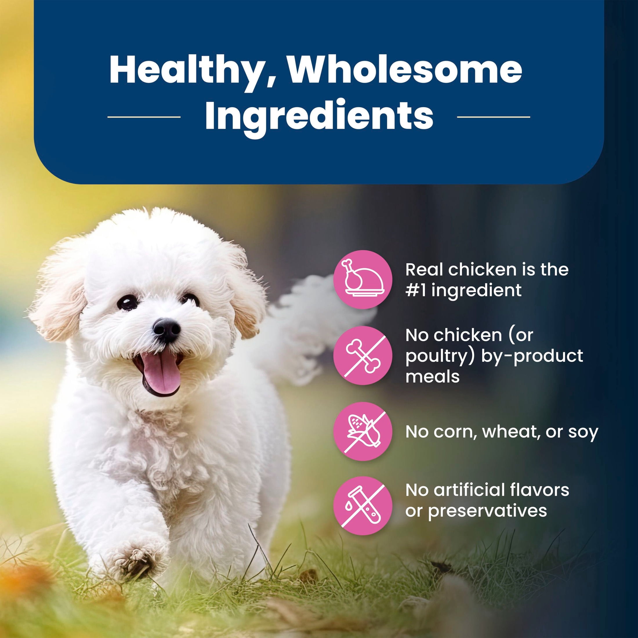 Blue Buffalo Life Protection Formula Adult Small Breed Dry Dog Food, Chicken, 15lb Bag