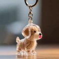thumbnail image 4 of Pet Hair Collector Keychain Transparent Souvenir Capsule Waterproof Design Dog Hair Memorial Keychain, 4 of 8
