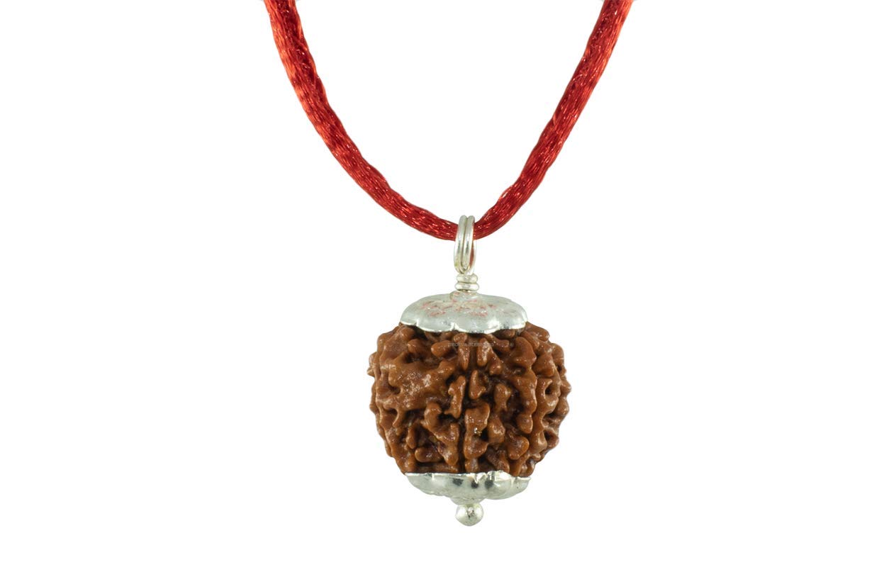 Seven Mukhi Rudraksha bead Original Certified, seven Face Rudraksha Satmukhi Rudraksha By Certifiedx24