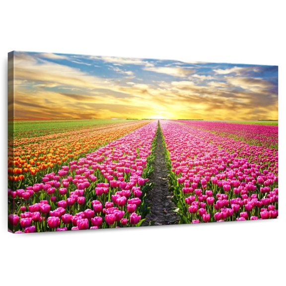 Elephant Stock Tulip Flower Field Wall Art - Horizontal Canvas Wall Art - Living Room Wall Decor - Nature Canvas - Orange And Pink Decor - 12" x 8"