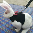 thumbnail image 5 of Walbest Rabbit Harness with Lead Leash Set, Soft Breathable Mesh Pet Chest Harness Vest Walking for Kittens, Bunny, Hamster, Guinea Pig, Ferret and Other Small Animals (Red, M), 5 of 7