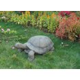 thumbnail image 2 of Grande Tortue, 2 of 4